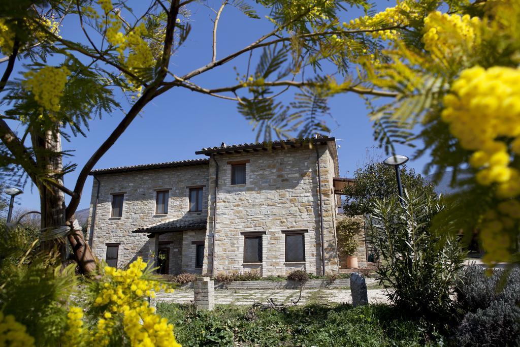 Villa Rosy أسيسي المظهر الخارجي الصورة
