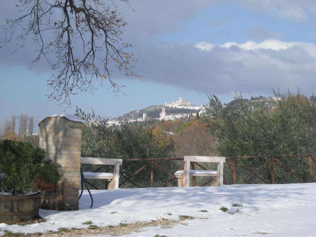 Villa Rosy أسيسي المظهر الخارجي الصورة